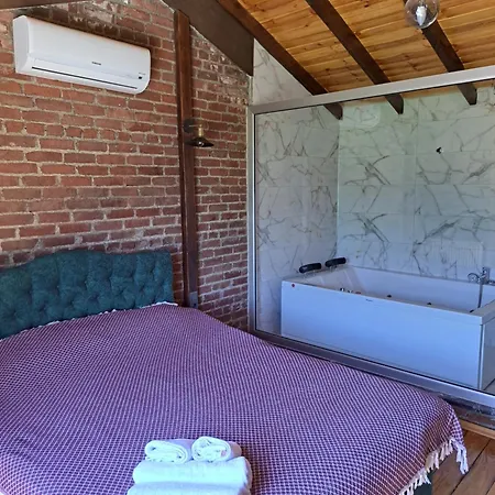 Ugurlu Konaklari Villa Sapanca